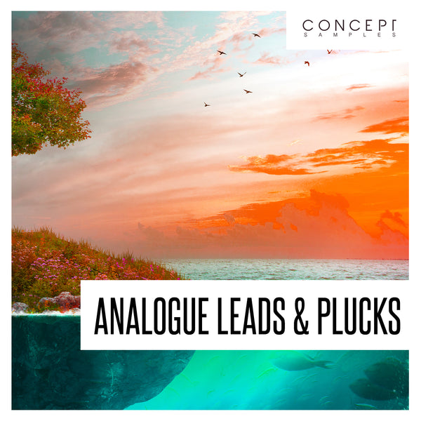 Analogue Leads & Plucks Sample Pack