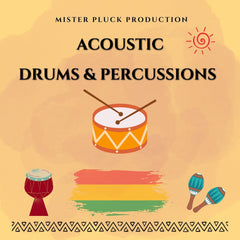 Acoustic Drums & Percussions