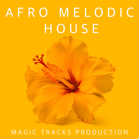 Afro Melodic House Ableton 11 Template