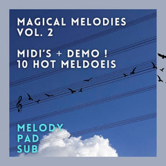 Magical Melodies Samples Vol. 2