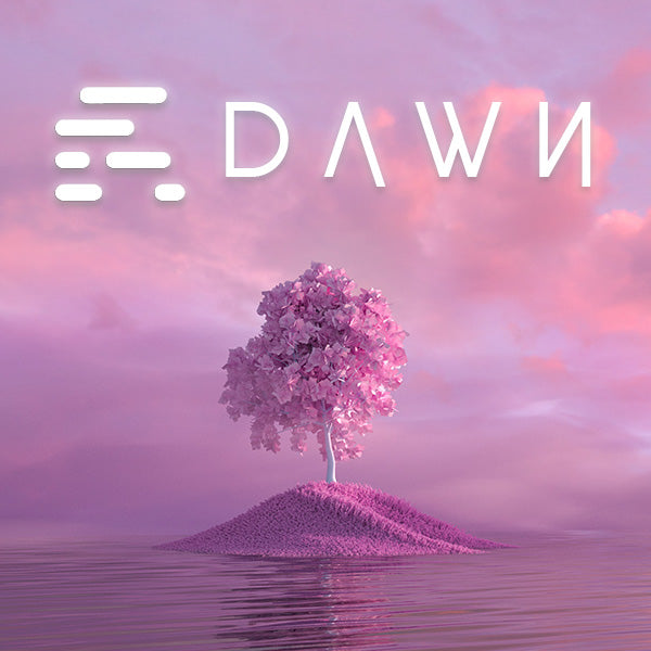Dawn - EDM Sample Pack & Serum Presets