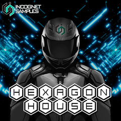 Hexagon House Samples