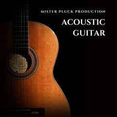 Acoustic Guitar Samples