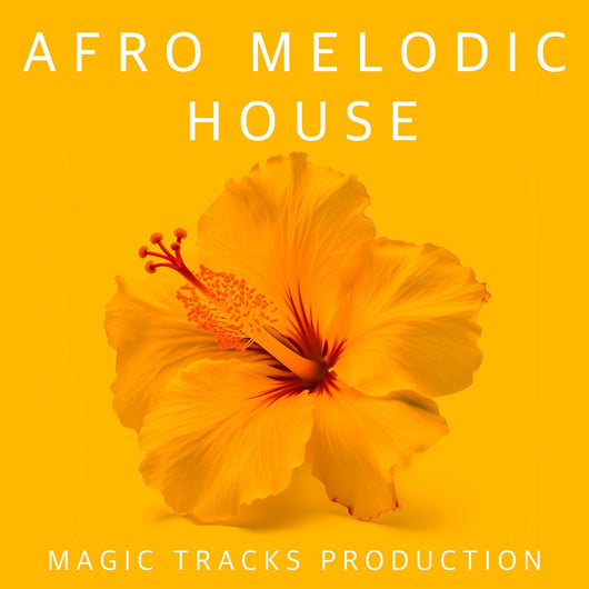 Afro Melodic House Ableton 11 Template - Innovation Sounds