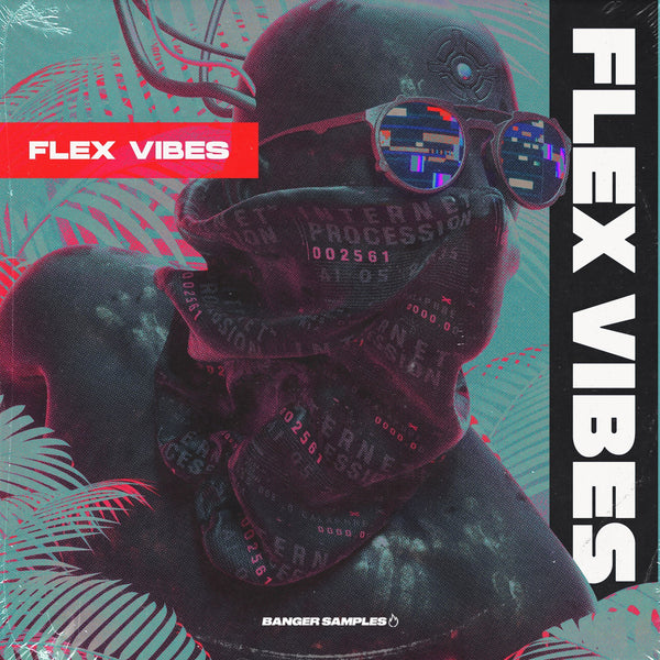 Flex Vibes - Innovation Sounds