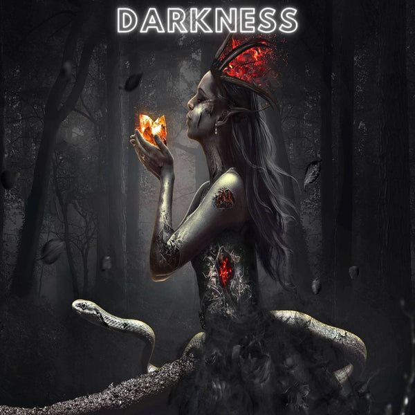 Darkness - Techno 2 in 1 FL Studio Template Bundle