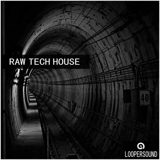 Raw Tech House