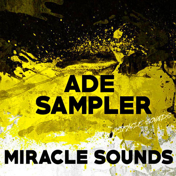 ADE Sampler is a powerful sample library for House producers