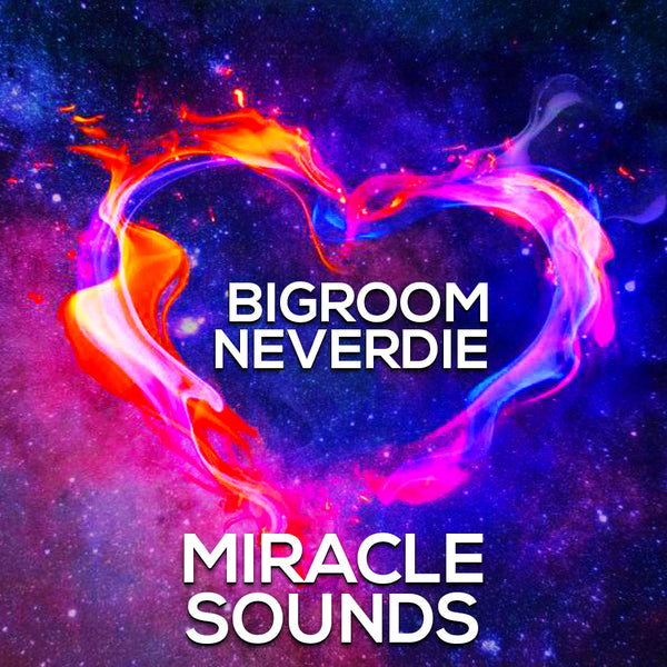 Bigroom Never Die Sample Pack