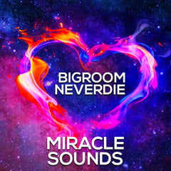 Bigroom Never Die