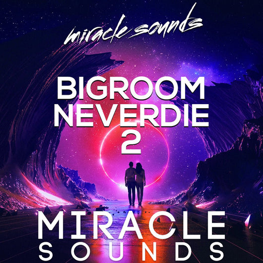 BIGROOM NEVERDIE 2 - Innovation Sounds