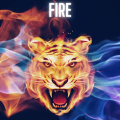 Fire - 3 in 1 Trap FL Studio 20 Template + Sample Packs