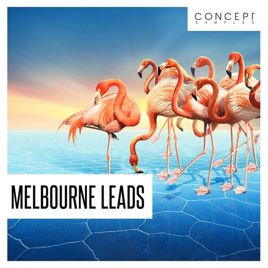 Melbourne Leads - Innovation Sounds