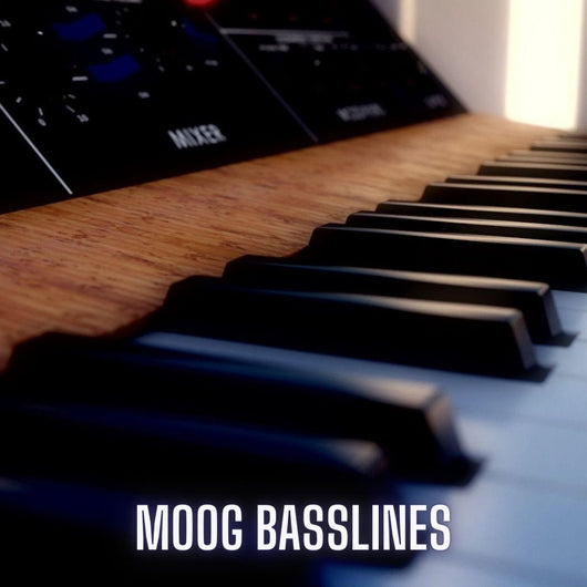 Moog Basslines - Innovation Sounds