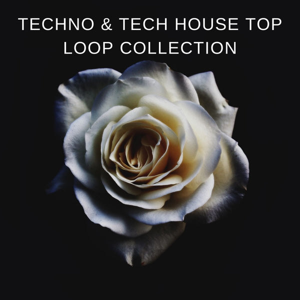 Techno & Tech House Top Loop Collection - Innovation Sounds