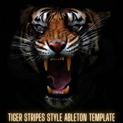 Tiger Stripes Style Ableton 9 Template